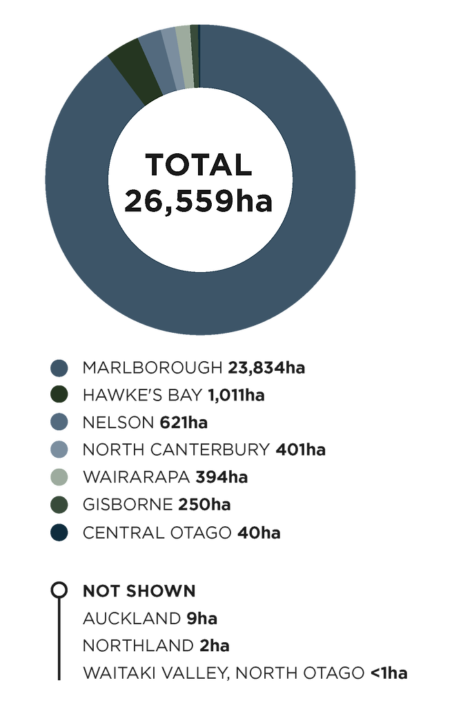 소비뇽블랑 주요 재배 지역과 규모. 뉴질랜드와인협회
