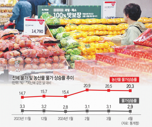 한 소비자가 2일 서울의 한 대형마트 과일 코너에서 참외를 살펴보고 있다. 이날 통계청에 따르면 지난달 소비자물가 상승률은 2.9%로 3개월 만에 2%대로 내려왔지만 과일을 비롯한 농산물은 20.3%가 올랐다. 연합뉴스