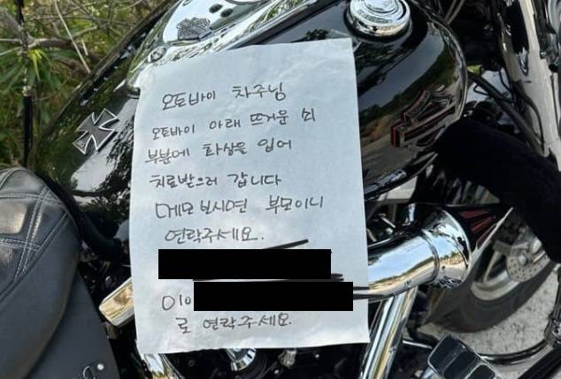 온라인 커뮤니티 더쿠 등