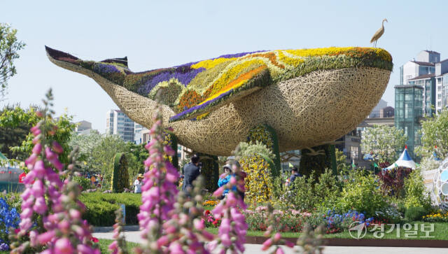 2024고양국제꽃박람회의 테마 ‘지구환경과 꽃’을 형상화한 높이 10m, 길이 20m의 대형 꽃등고래 조형물이 지구환경공원에서 관람객을 맞이하고 있다. 신진욱기자