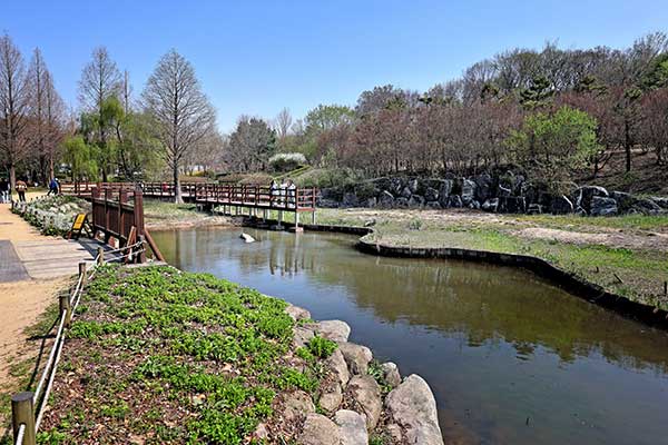 인천대공원 내에 있는 수목원에서는 더 다양한 식물을 볼 수 있다. 세심하게 조경을 꾸며 놓아 나들이 장소로 제격이다.