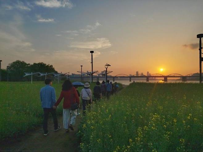 지난해 한강야경투어 모습 [서울시 제공. 재판매 및 DB 금지]