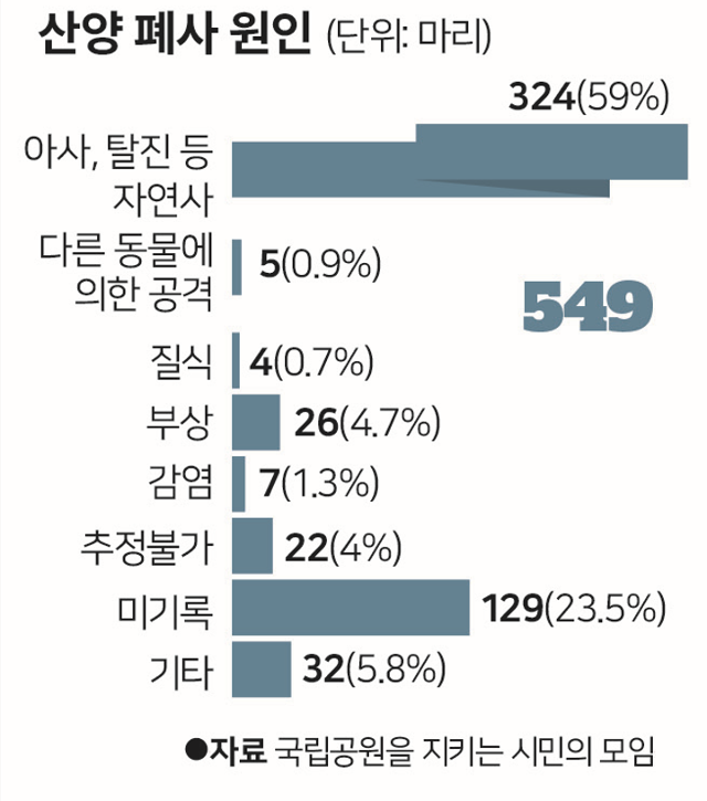 산양 사망 원인. 박구원 기자