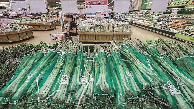 1분기 깜짝 성장에도 물가안정과 경기회복이라는 두 토끼를 잡아야 하는 한국 경제의 난제는 수없이 많다. 반도체 경기에 따라 출렁이는 경제 구조도 개편해야 한다.[사진=뉴시스]