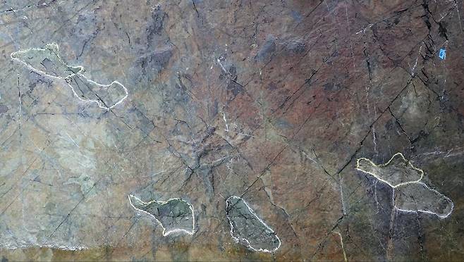 지난달 30일 전남 해남군 황산면 우항리 공룡화석지에서 촬영한 익룡 발자국 화석 '해남이크누스 우항리엔시스(Haenamichnus Uhangriensis)’. 익룡의 특징을 확인할 수 있는 온전한 화석으로 인정받아 학명에 해남 지명이 들어갔다./해남(전남)=송복규 기자