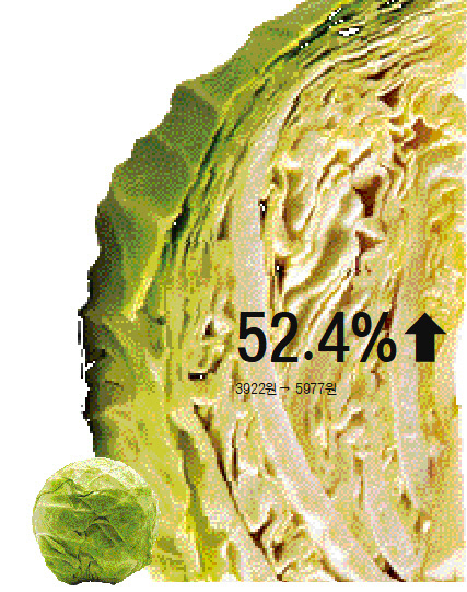 채소류 소매가격 전년 대비 등락률 (4월30일 기준) 자료: 한국농수산식품유통공사 간편가격정보