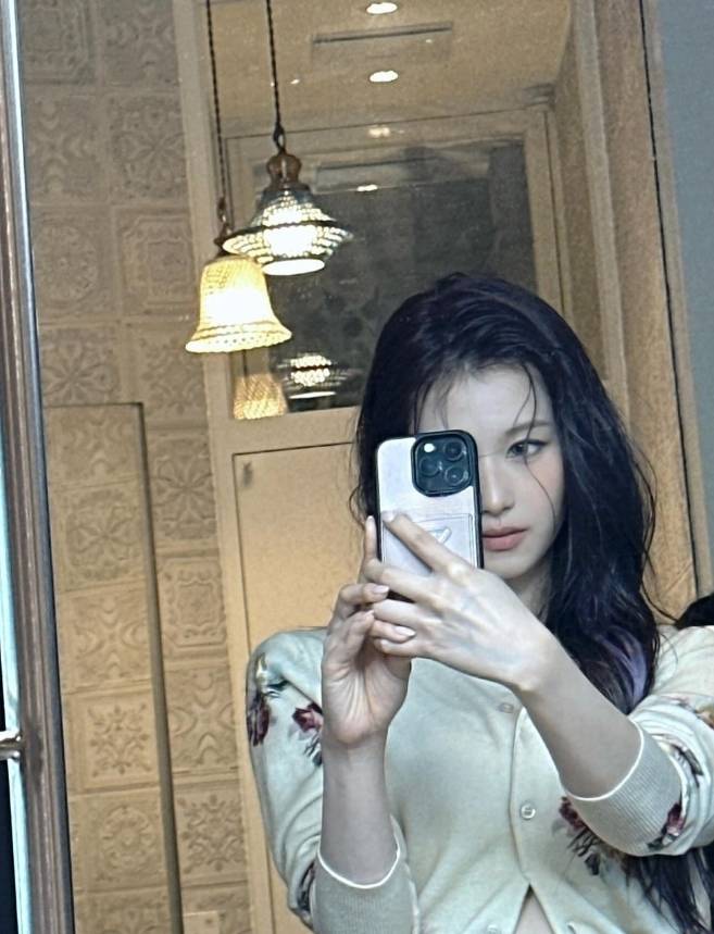 사나 소셜미디어