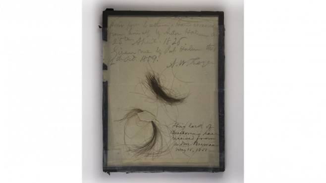 케빈 브라운 미국 베토벤협회 명예 회원이 소장한 베토벤 머리카락 2묶음의 모습이다. 윌리엄 메레디스 이사 홈페이지/케빈 브라운 제공.