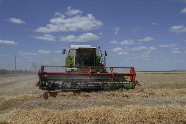 우크라이나 미콜라이우 인근에서 지난해 8월 21일 한 농부가 밀을 수확하고 있다. 미콜라이우=AFP 연합뉴스