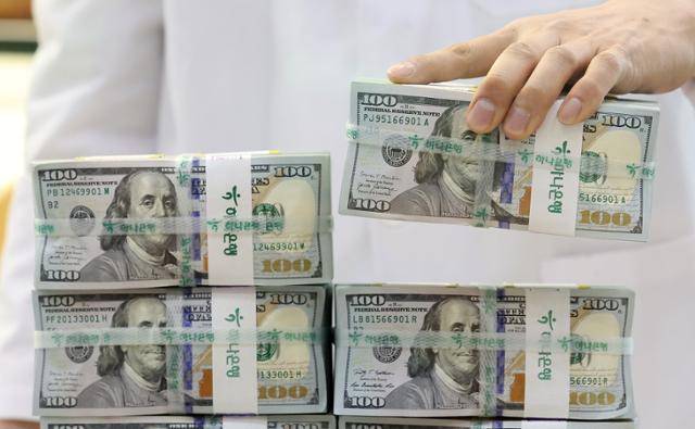 4월 16일 서울 중구 하나은행 위변조대응센터에서 직원이 달러를 정리하고 있다. 뉴스1