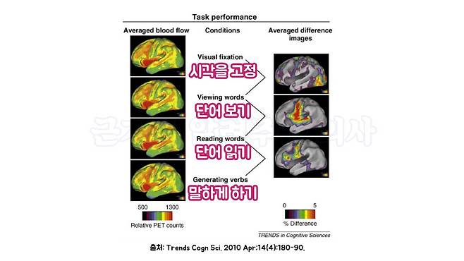 출처: Trends Cogn Sci. 2010 Apr;14(4):180-90.