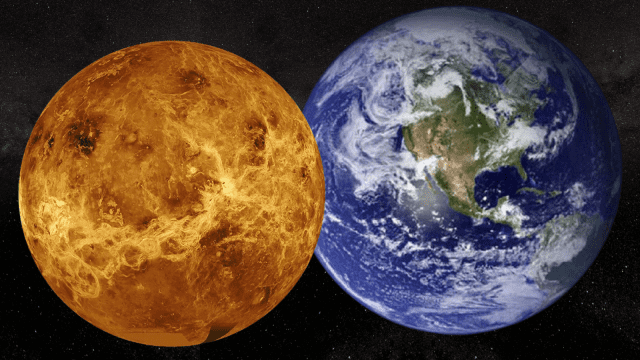 금성과 지구의 크기를 비교한 모습 (사진=NASA/Robert Lea)