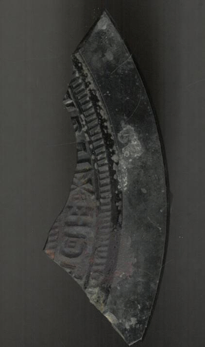 사라리 124-4 덧덜무덤 내 출토 청동거울편 3D 스캔본 한국문화재재단 제공