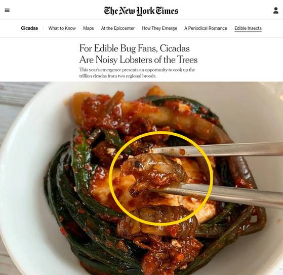 매미 김치. 〈사진=뉴욕타임스 홈페이지 캡처〉