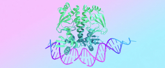 '알파폴드'를 활용한 단백질 구조 예측 결과. 구글 딥마인드 갈무리.