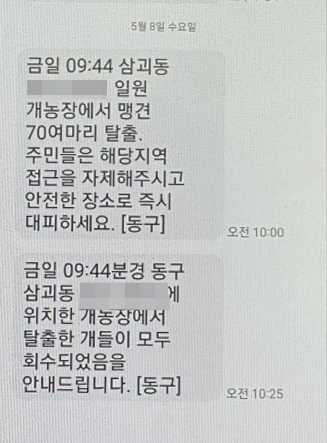 대전 동구청이 8일 발송한 맹견 탈출 안전문자 캡처. 한국일보 자료사진