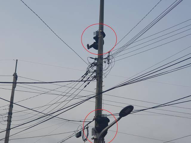 자난달 말 파주시가 CCTV를 설치하려 하자 용주골 여성 2명(빨간원 안)이 아무런 안전장치 없이 전신주 위로 올라가 CCTV 설치를 막고 있다. 임명수 기자