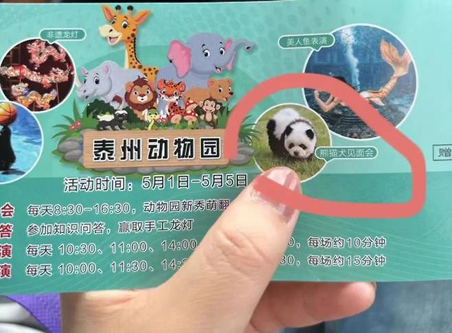 중국의 동물원은 입장권에 판다견 사진을 넣고, '판다견 만남회'와 같은 문구를 새기며 적극적으로 홍보했다./사진='더 페이퍼' 캡처