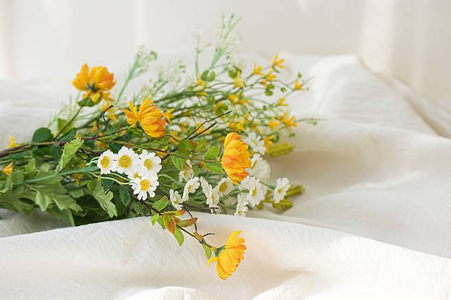 병에 일반 물을 채워 넣는 것보다 레몬주스 설탕, 락스 등을 섞은 천연 방부제를 만들어 넣으면 생화의 싱싱함이 더 오래 간다./사진=클립아트코리아