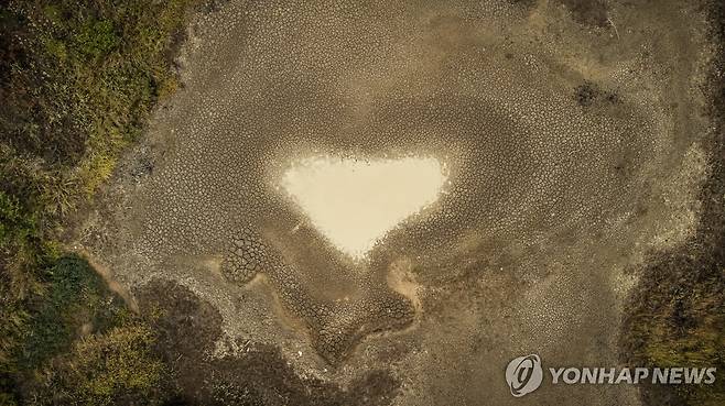 지난 3월 브라질 호라이마주 보아비스타의 말라버린 강바닥 [EPA 연합뉴스 자료사진. 재판매 및 DB 금지]