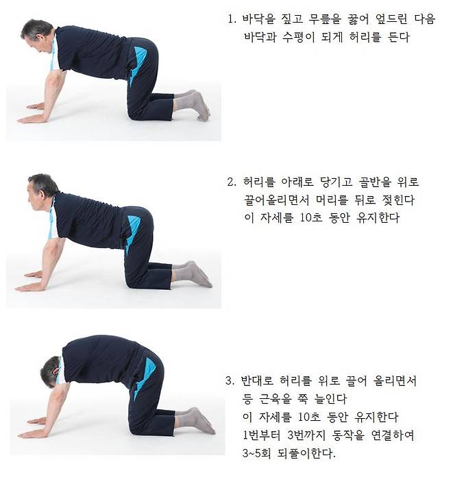 허리 강화 운동법