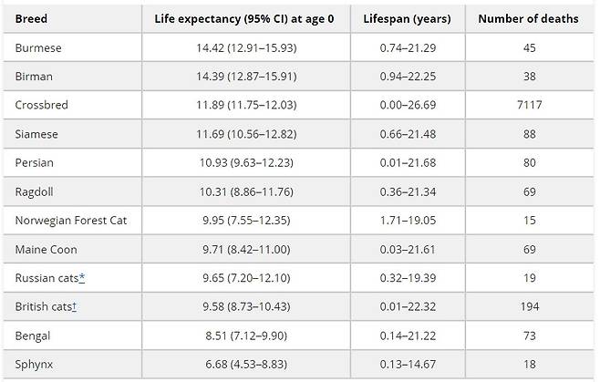 고양이 품종별 기대수명. 고양이 의학 및 외과 저널 제공