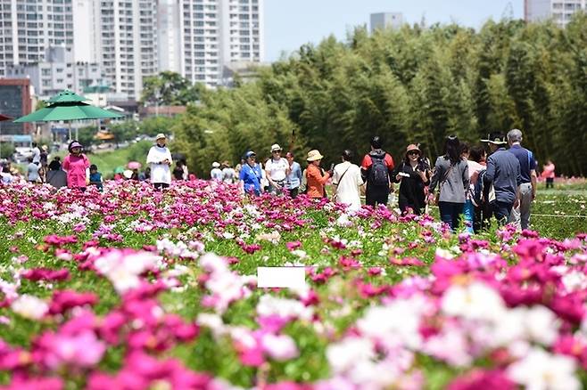 지난해 5월 태화강국가정원 봄꽃 축제 당시 시민들이 꽃단지 주변을 거닐고 있다./울산시 제공