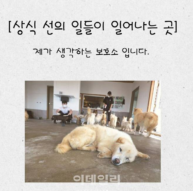 (사진=유기견숲 SNS 캡처)