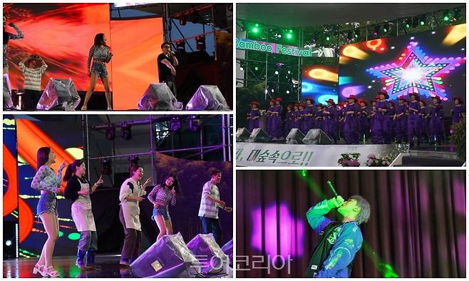 담양대나무축제/사진-담양군