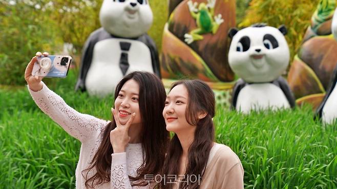 담양대나무축제/사진-담양군