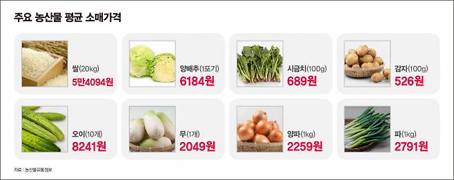 5월9일 기준 주요 농산물 평균 소매가격. /그래픽=강지호 기자
