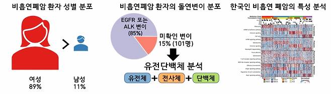 연구에서 분석한 한국인 비흡연폐암 환자들의 성별 분포. 여성이 대부분이다. (왼쪽) 비흡연폐암 환자의 유전자 돌연변이를 분석한 결과  환자 폐조직의 의15%에서 미확인 돌연변이가 발견됐다. (가운데).  다중오믹스 분석법을 통해 한국인 비흡연폐암의 분자적 특징을 분석한 결과 (오른쪽). /사진=KIST