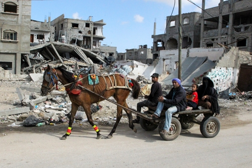 가자지구의 팔레스타인 주민들이 12일 말이 끄는 수레를 타고 남부 최후의 피난처인 라파를 떠나고 있다. 라파 로이터 연합뉴스
