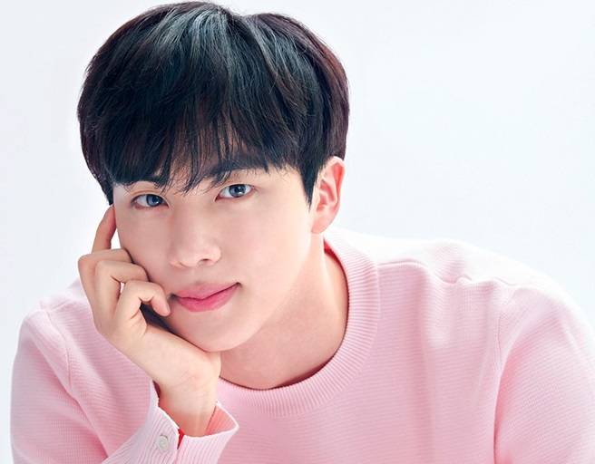 "방탄소년단 진이 좋아요♥" 전 세계 셀럽들 '석진앓이'