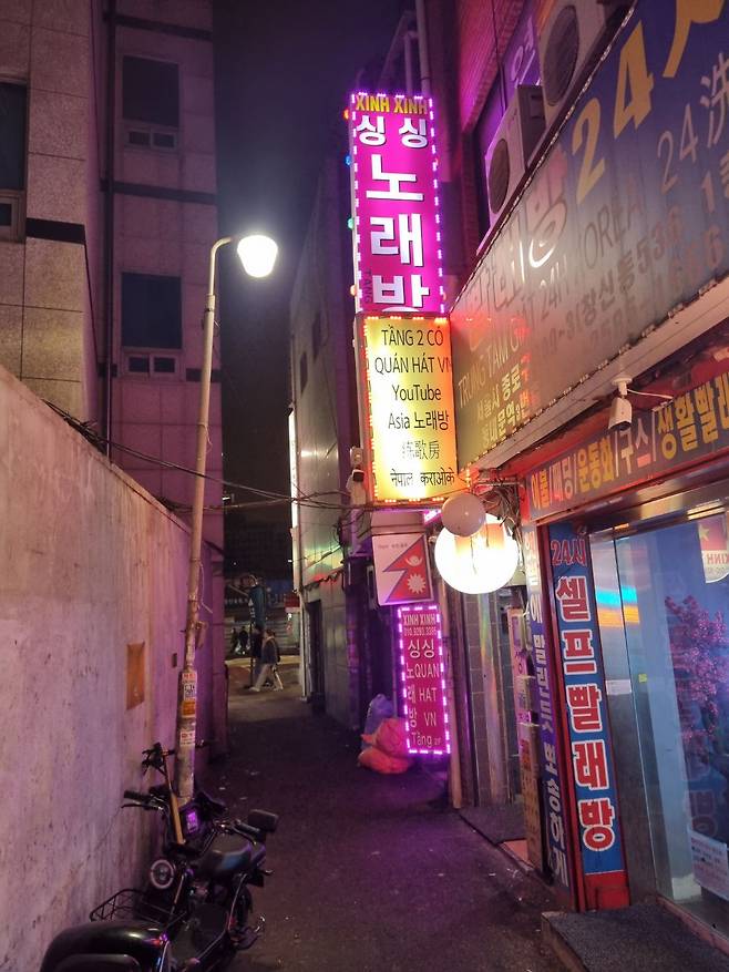 서울 동대문의 한 골목. 베트남 음식점과 노래방이 있고, 인근에 베트남 식자재를 파는 마트도 있다. /이미지 기자