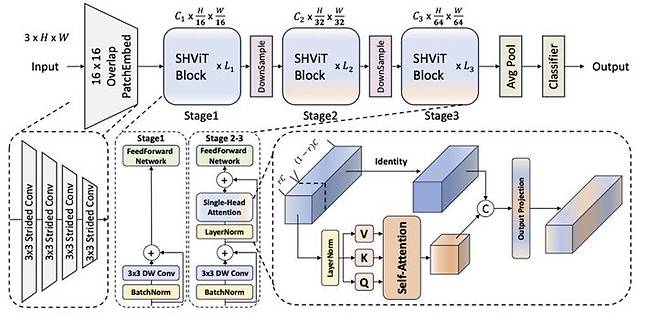 [서울=뉴시스] 연구팀이 제안한 SHViT 모델의 구조. (사진=서울시립대 제공) *재판매 및 DB 금지