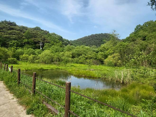 광주 북구 무등산국립공원에 있는 평두메습지. 광주 북구청 제공