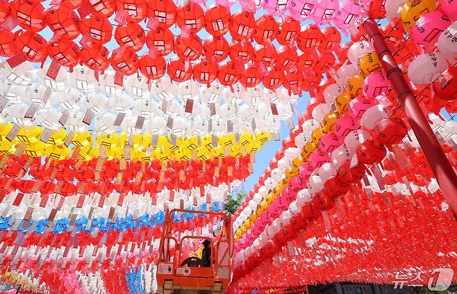 부처님 오신 날을 이틀 앞둔 13일 서울 종로구 조계사에서 직원이 연등에 신도들의 발원이 담긴 이름표를 달고 있다. 2024.5.13/뉴스1 ⓒ News1 이동해 기자