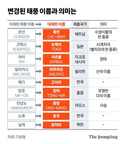 신재민 기자