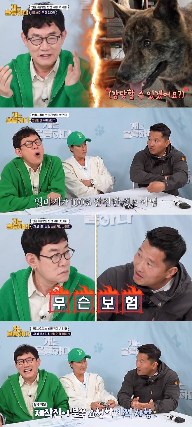 KBS 2TV ‘개는 훌륭하다’