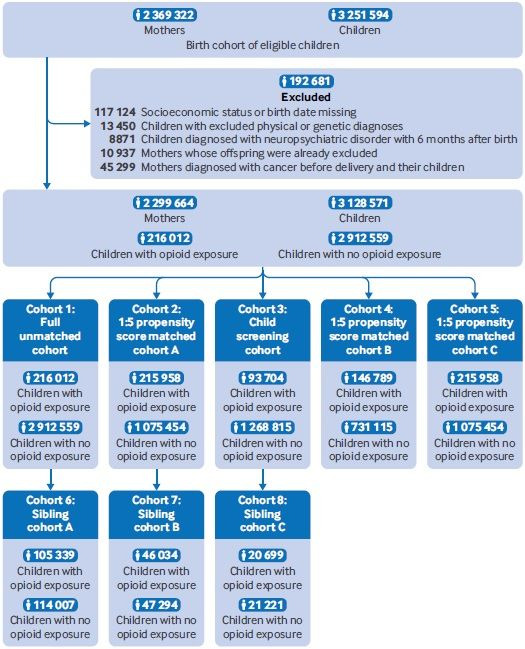 [서울=뉴시스] 경희대 의학과 연동건 교수 연구팀이 산모의 임신 중 마약성 진통제 사용과 출산 이후 소아에게서 신경정신과적 장애의 발병 사이의 연관성을 분석했다. 연구팀은 한국 건강보험공단의 데이터를 활용해 산모 230만 명, 소아 330만 명 등 총 550만 명의 대규모 의료 빅데이터를 구축했다. 사진은 연구 모식도. (사진=경희대 제공) *재판매 및 DB 금지