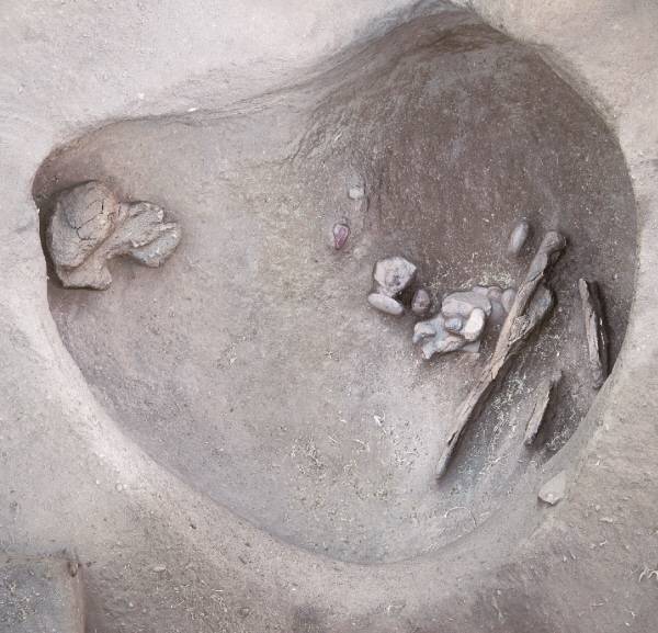 페루 윌라마야 파트샤 유적에서 발견된 여성 사냥꾼의 무덤. 골격과 함께다양한 사냥 도구가 출토됐다. Randall Haas, University of California, Davis 제공