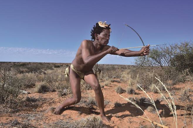남아프리카공화국 칼라하리 사막 코마니 지역의 부족 집단인 산족 사냥꾼 아리 래츠가 사냥 자세를 취하고 있다. South African Tourism 제공