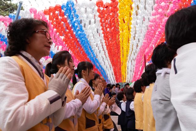 15일 오전 서울 종로구 조계사에서 열린 불기 2568년 부처님오신날 봉축법요식을 찾은 불자들이 기도를 하고 있다. 뉴스1