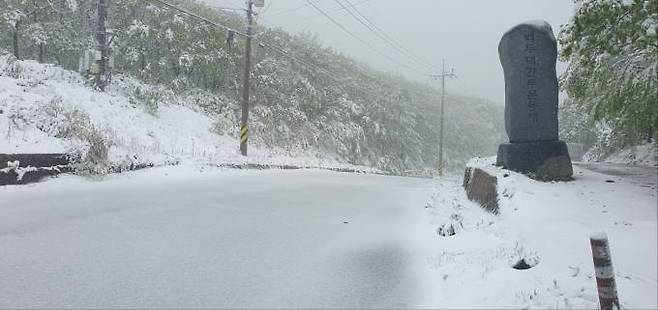 16일 강원 태백시 고갯길인 백두대간 두문동재에 많은 눈이 쌓여 한겨울을 연출하고 있다. 