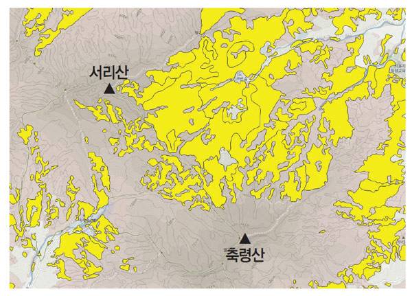서리산과 축령산 일대의잣나무숲 임상도.노란색이 전부 잣나무다.