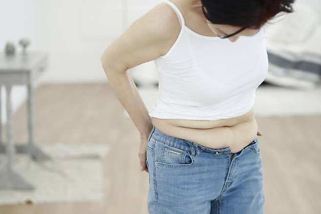 비만과 대사증후군이 각각 유방암 발병 위험을 높인다는 연구 결과가 나왔다./사진=클립아트코리아