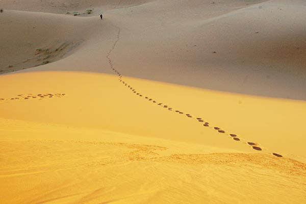 저자 김철권 교수가 직접 찍어 책에 실은 사진이다. 사막에 찍힌 긴 발자국이 우리 삶을 떠올리게 한다.  안목 제공