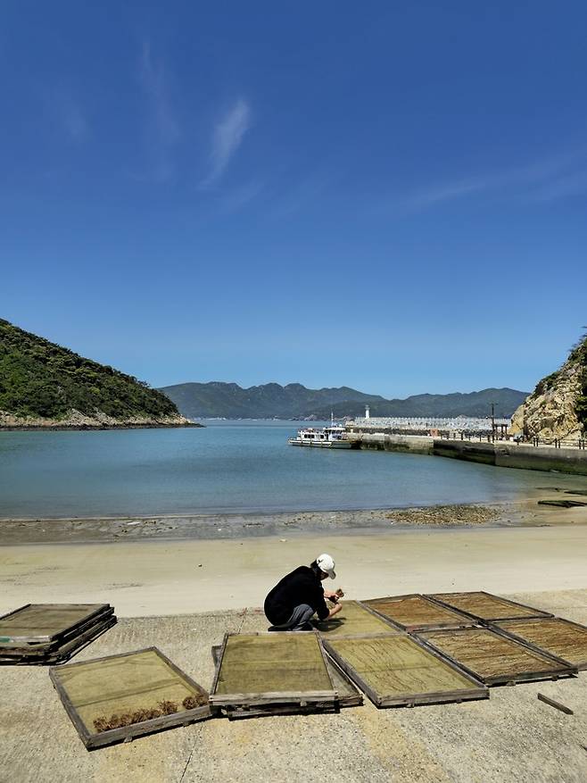 머윗대 말리는 주민.