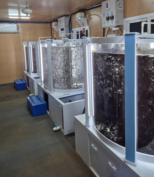 바이오리엑터(생물 반응조)로 불리는 큰 수조 안에서 육상 양식 김이 재배되고 있는 모습. 풀무원 제공